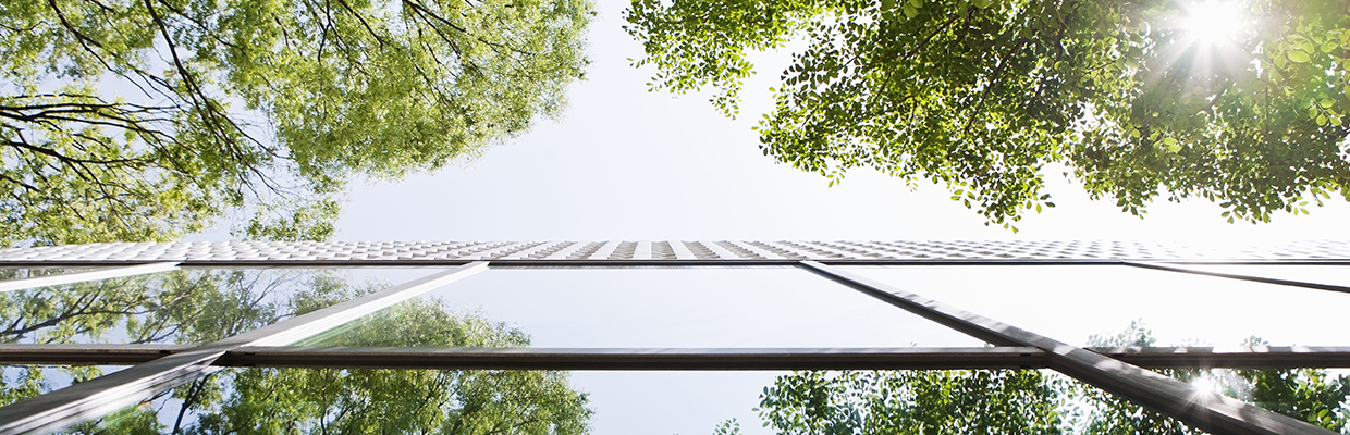 Vertical view of a glass facade of a modern building