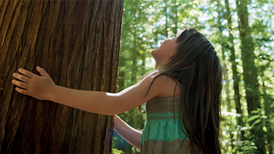 Girl holding the century old tree